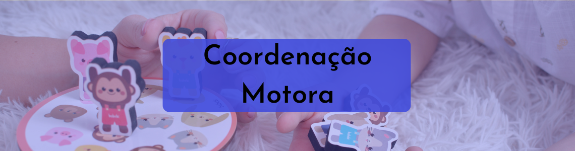 Coordenação Motora e o poder dos brinquedos educativos